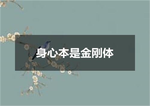 身心本是金刚体