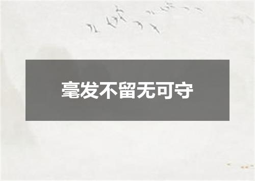 毫发不留无可守