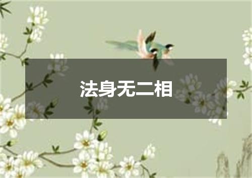 法身无二相