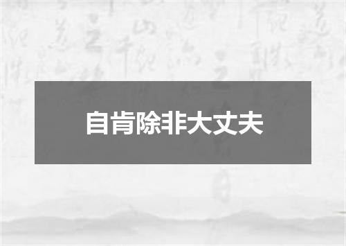 自肯除非大丈夫