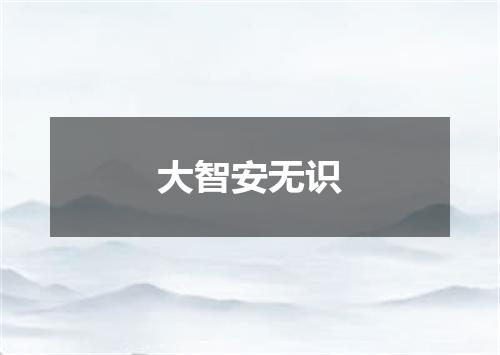 大智安无识