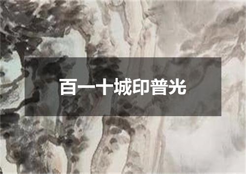 百一十城印普光