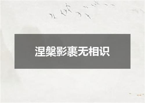 涅槃影裹无相识