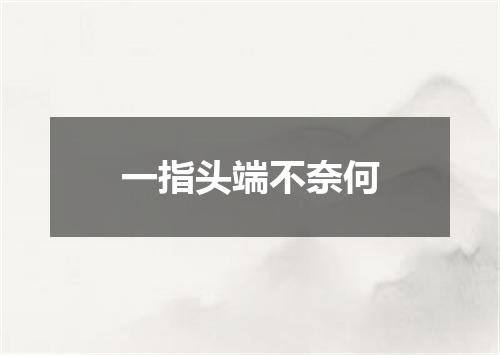 一指头端不奈何