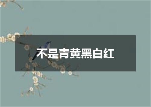 不是青黄黑白红