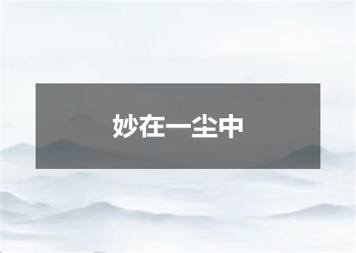 妙在一尘中