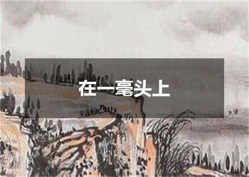 在一毫头上