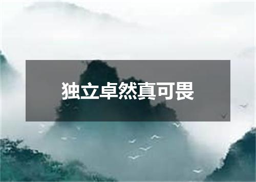独立卓然真可畏