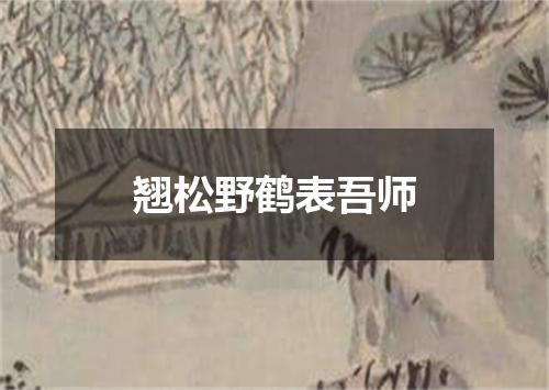 翘松野鹤表吾师