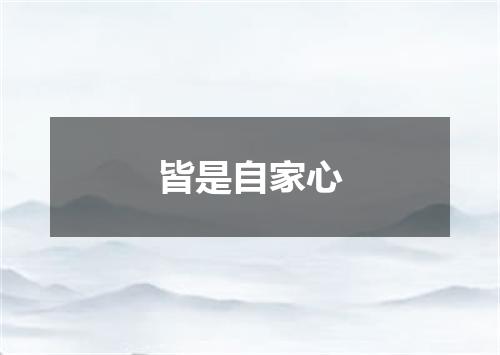 皆是自家心