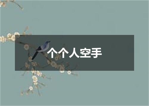 个个人空手