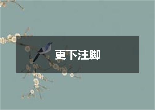 更下注脚