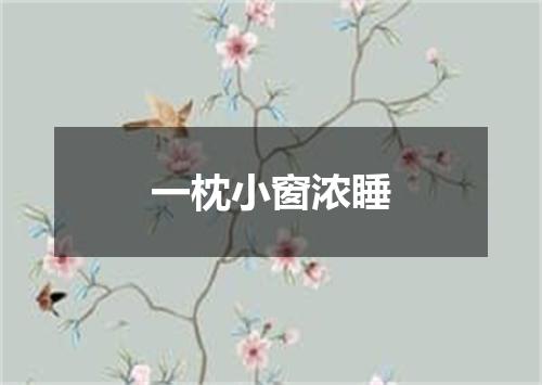 一枕小窗浓睡