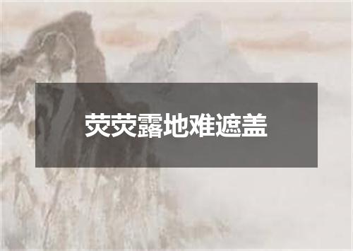 荧荧露地难遮盖