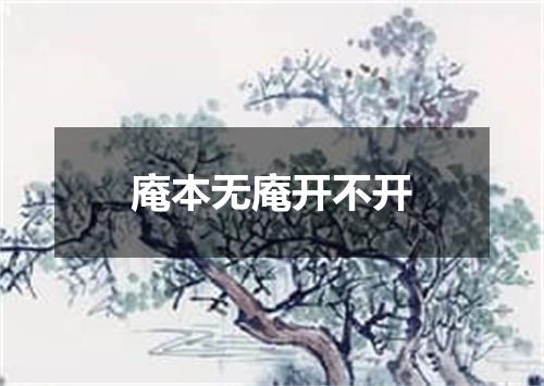 庵本无庵开不开