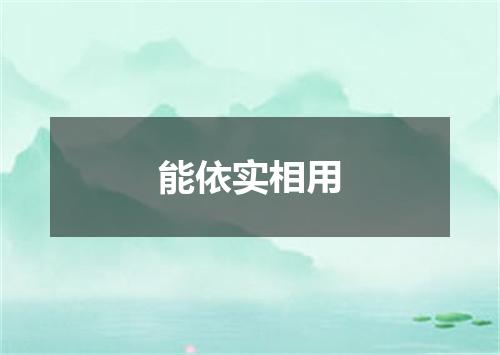 能依实相用