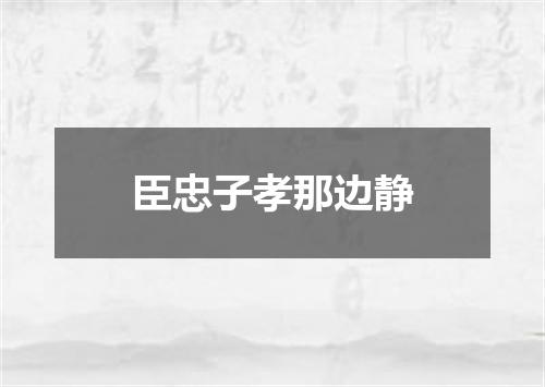 臣忠子孝那边静