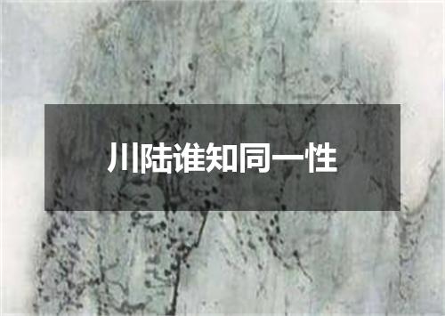 川陆谁知同一性