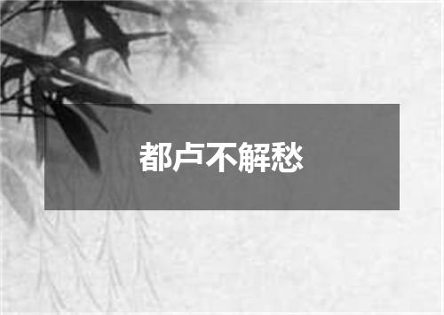 都卢不解愁