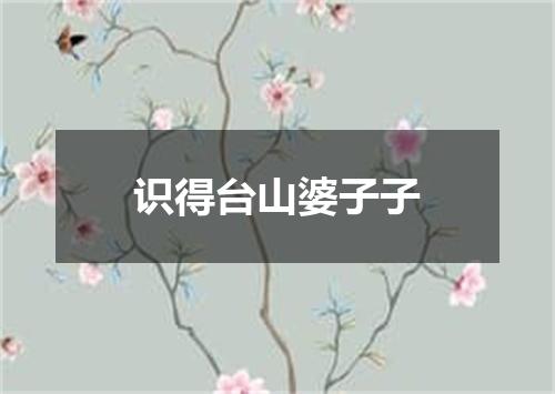 识得台山婆子子