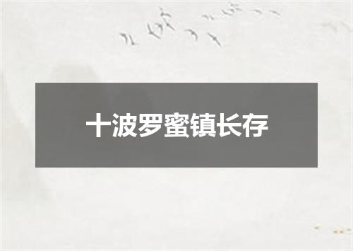 十波罗蜜镇长存