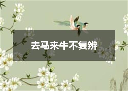去马来牛不复辨