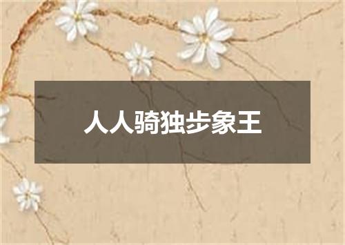 人人骑独步象王