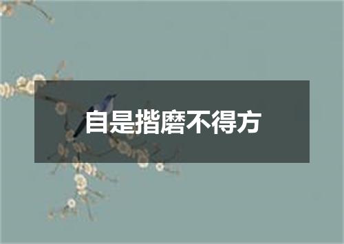 自是揩磨不得方