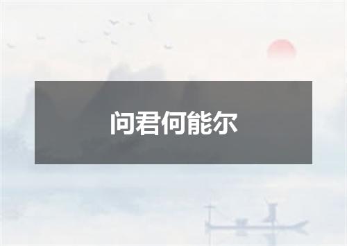 问君何能尔