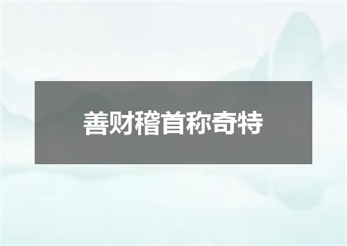 善财稽首称奇特