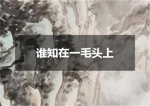 谁知在一毛头上