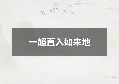 一超直入如来地