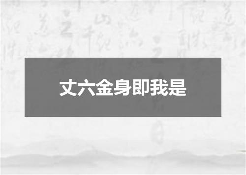 丈六金身即我是
