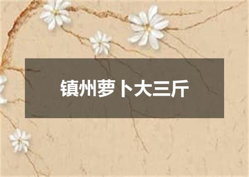 镇州萝卜大三斤