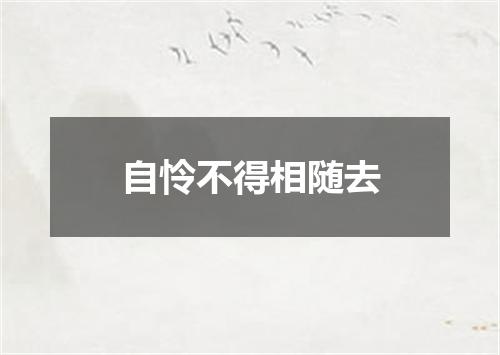 自怜不得相随去