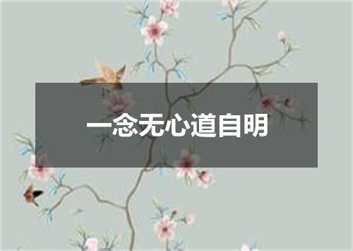 一念无心道自明