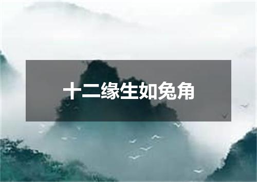 十二缘生如兔角