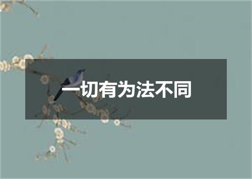 一切有为法不同