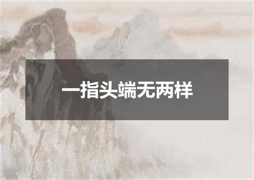 一指头端无两样