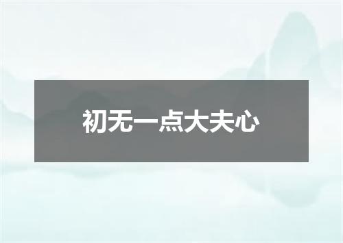 初无一点大夫心