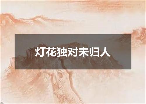 灯花独对未归人