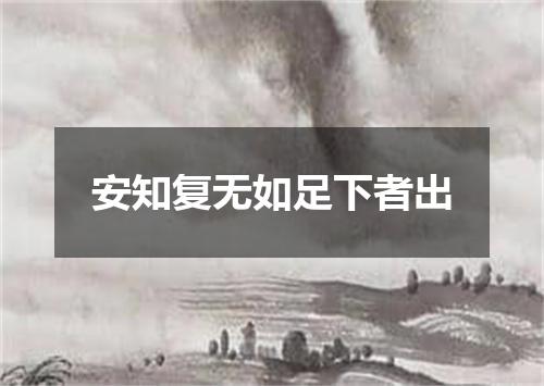 安知复无如足下者出