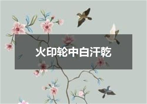 火印轮中白汗乾