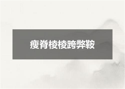 瘦脊棱棱跨弊鞍