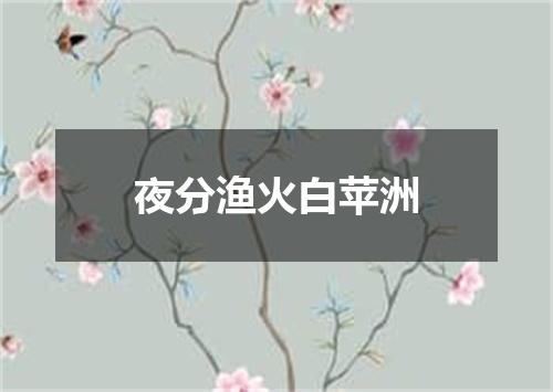 夜分渔火白苹洲
