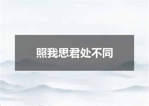 照我思君处不同