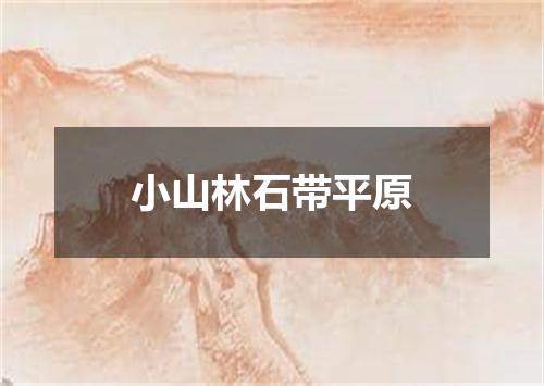 小山林石带平原