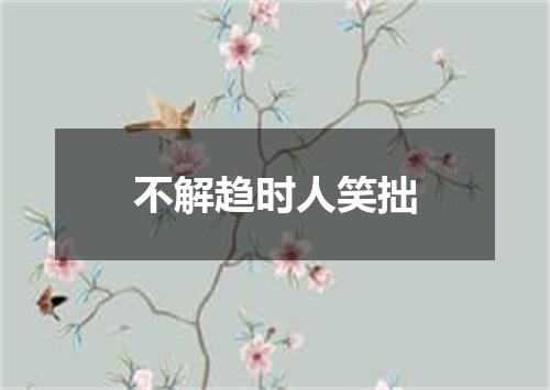 不解趋时人笑拙