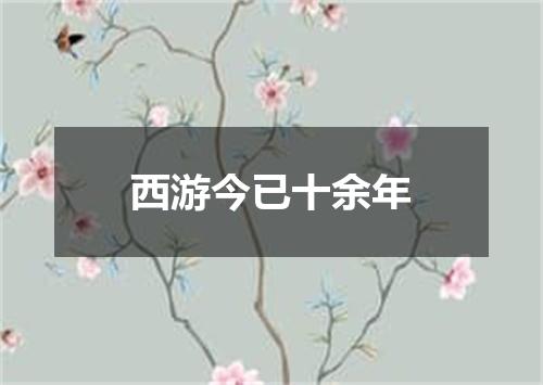 西游今已十余年