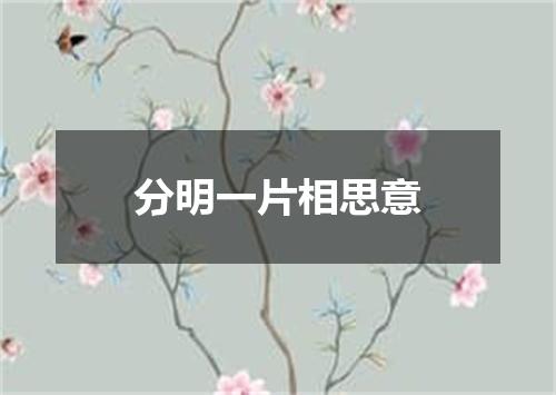 分明一片相思意